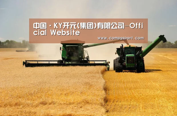 产品名称八(图1)
