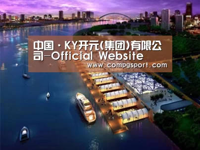 案例展示八