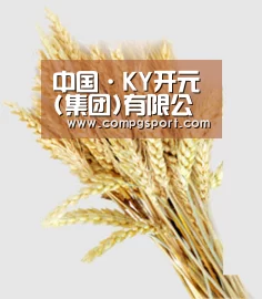 中国·KY开元(集团)有限公司-Official Website