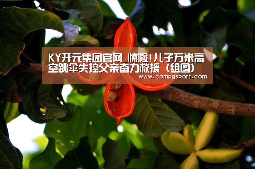 开元集团网站