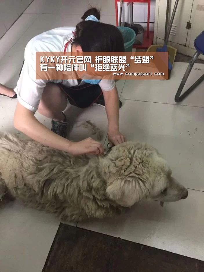 开元集团网站