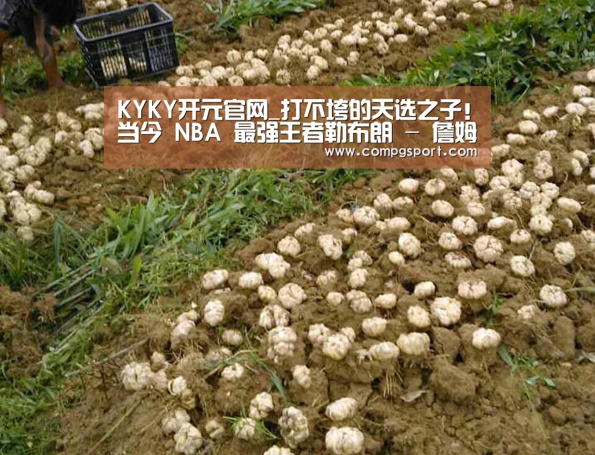 KYKY开元官网_打不垮的天选之子!当今 NBA 最强王者勒布朗 - 詹姆斯(图1) KYKY开元官网
